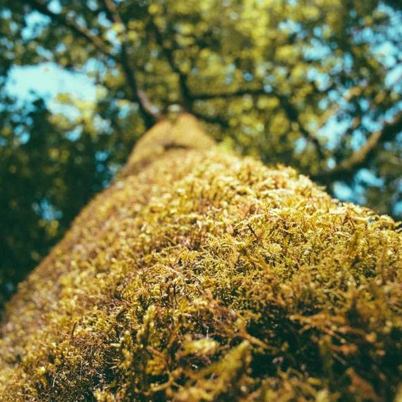 Doctor consulting with patient